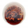 Чай Tasteabrew TO GO Фруктовый глинтвейн со специями (27 гр)